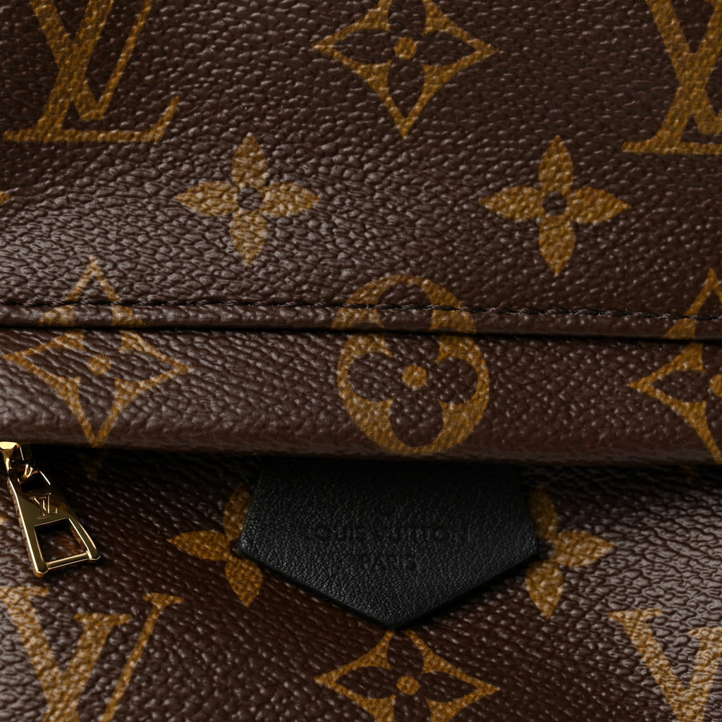 Monogram Palm Springs Backpack Mini