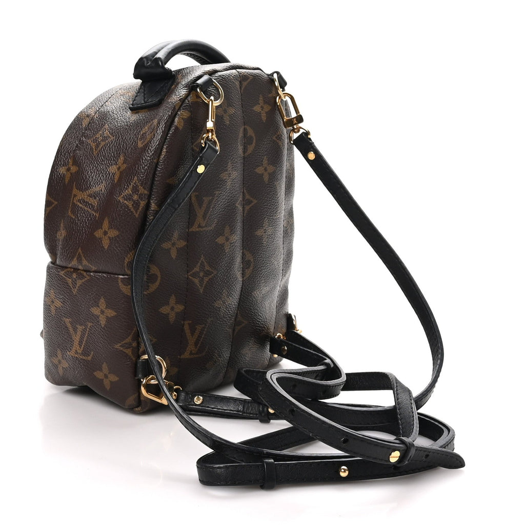 Monogram Palm Springs Backpack Mini