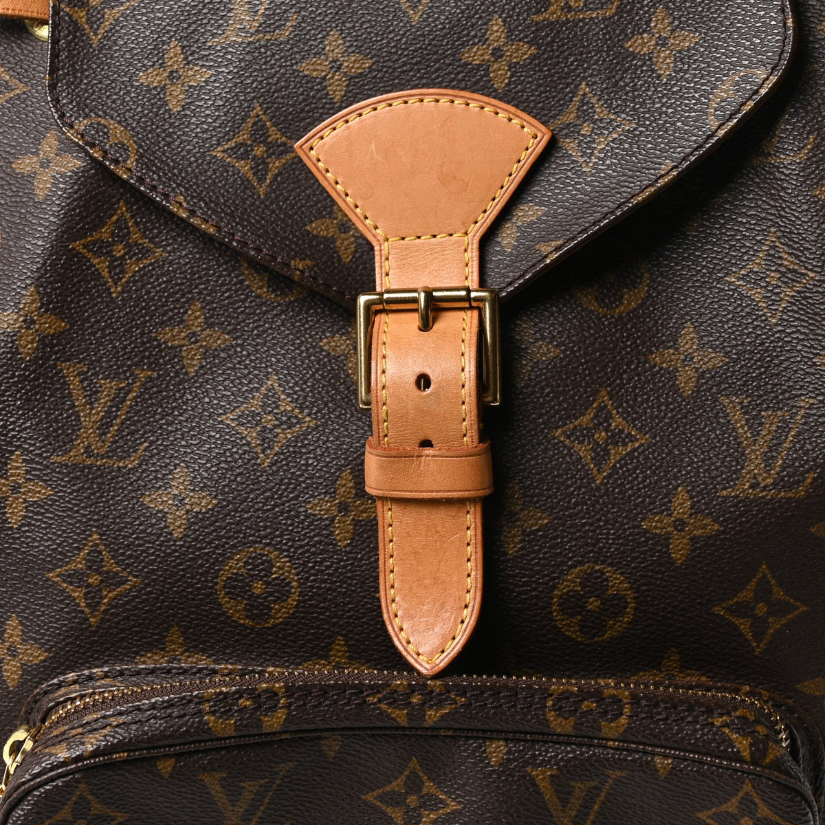Monogram Montsouris GM Backpack