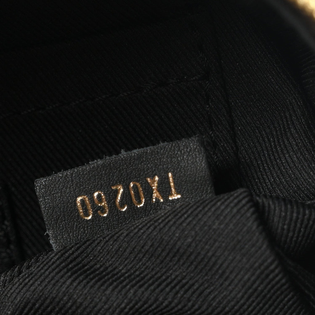 Monogram Palm Springs Backpack Mini