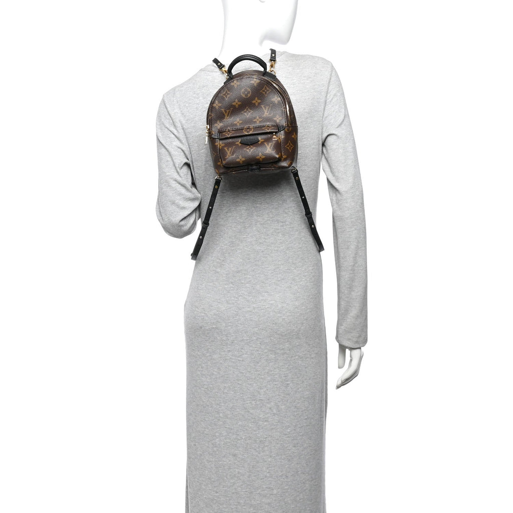 Monogram Palm Springs Backpack Mini