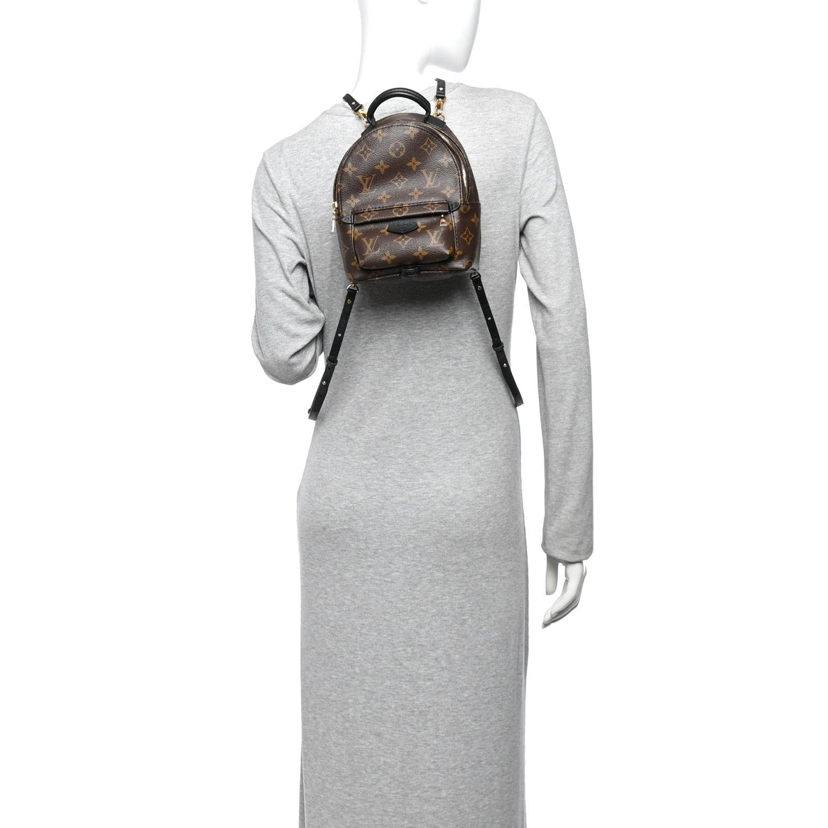 Monogram Palm Springs Backpack Mini