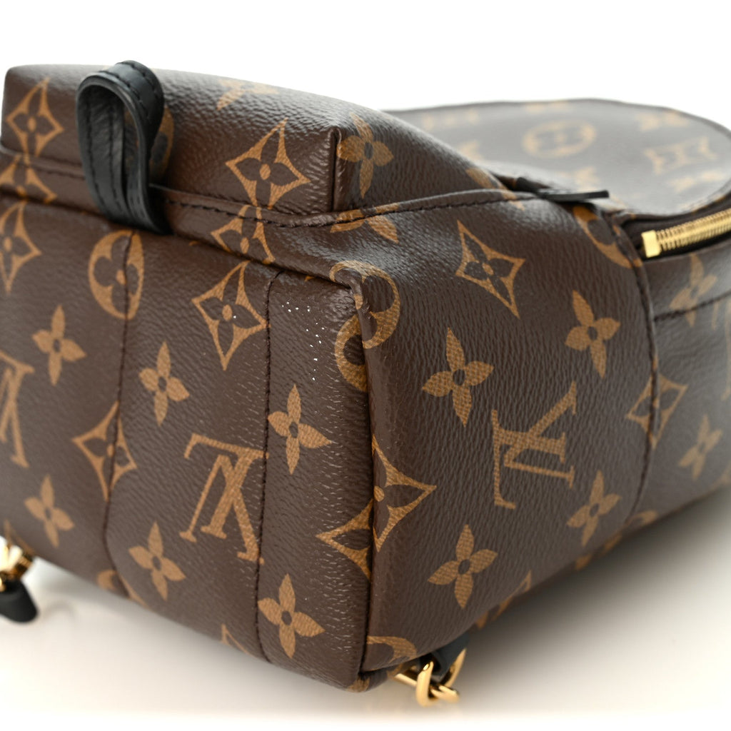 Monogram Palm Springs Backpack Mini
