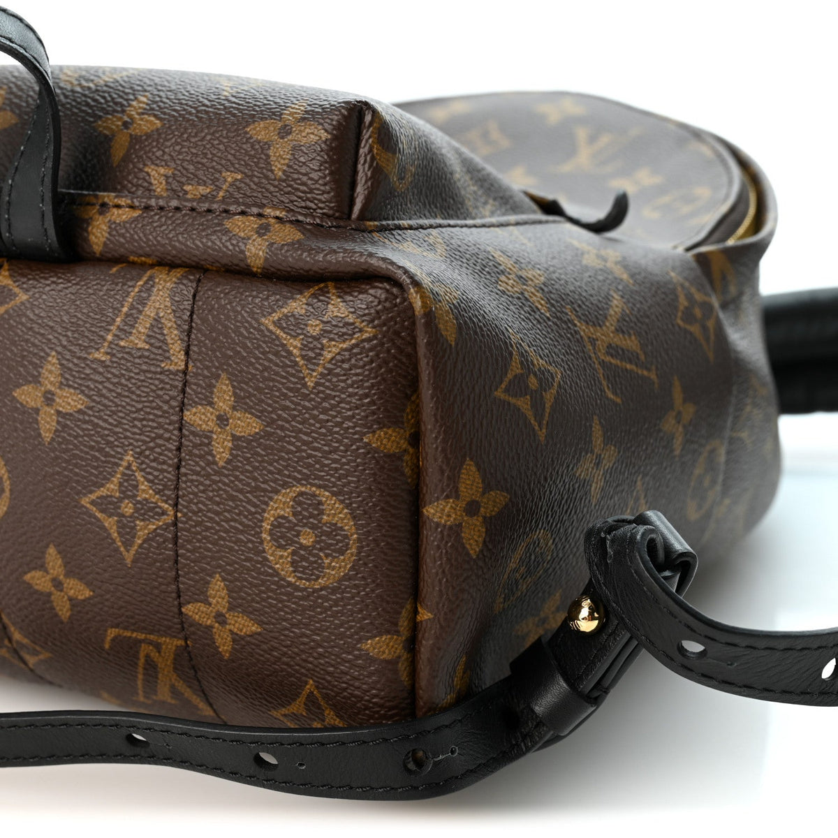 Monogram Palm Springs Backpack PM