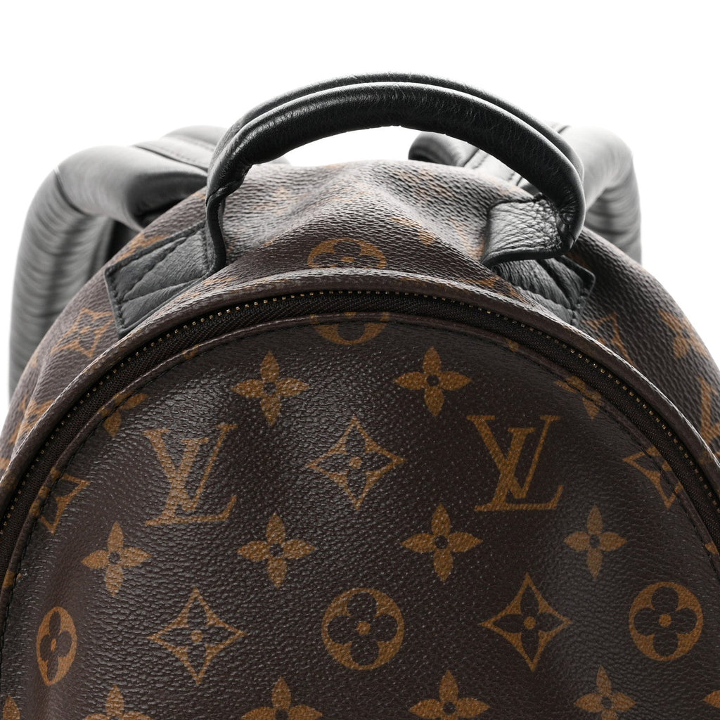 Monogram Palm Springs Backpack PM