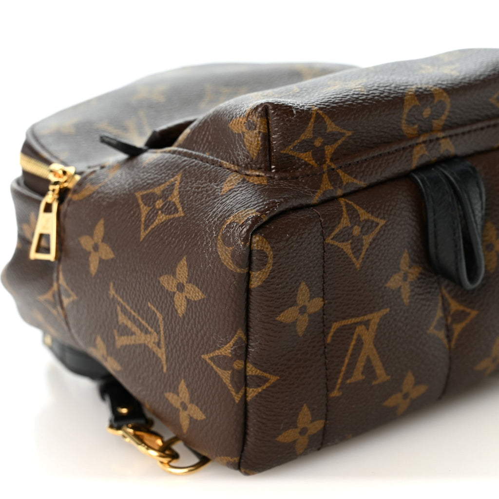 Monogram Palm Springs Backpack Mini