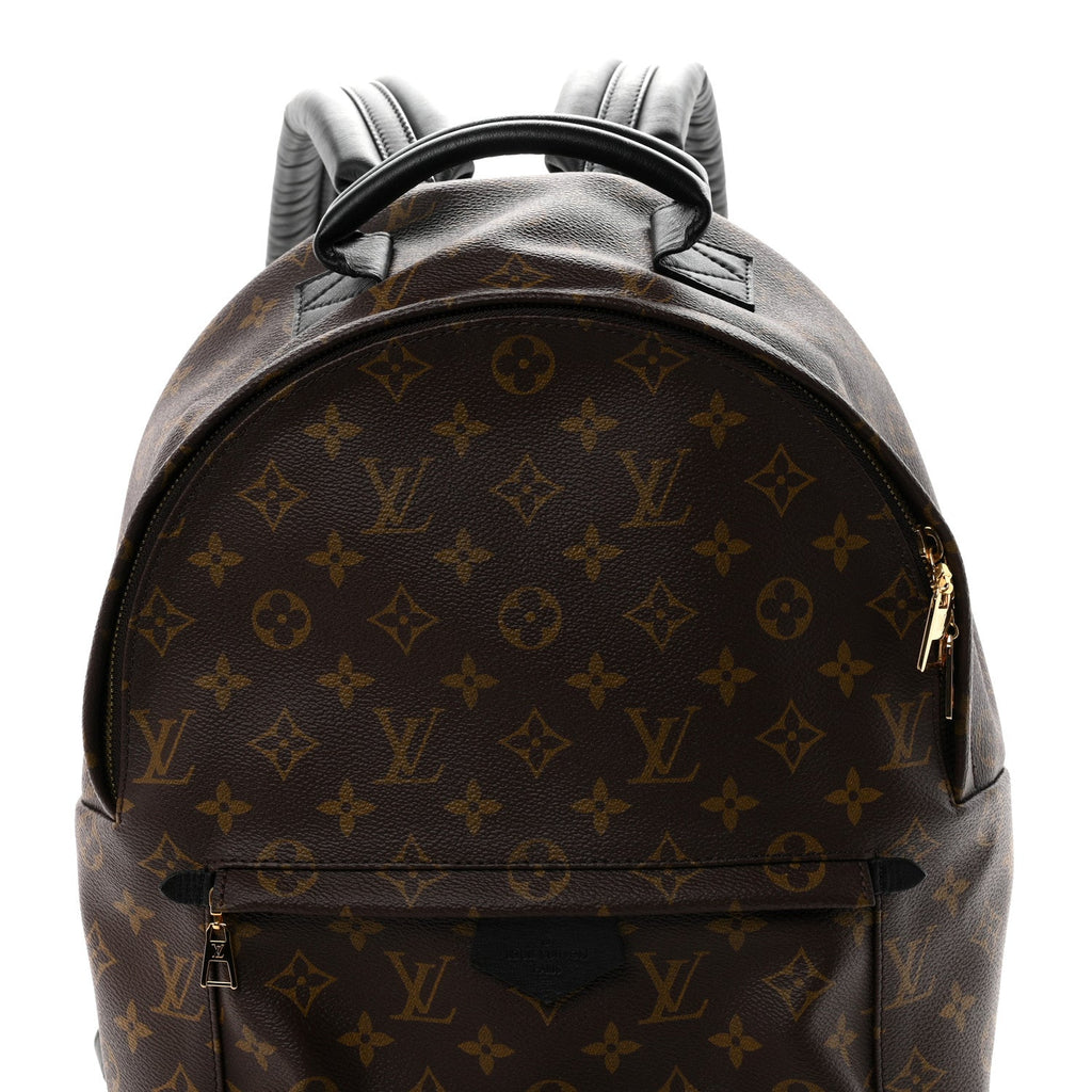 Monogram Palm Springs Backpack MM