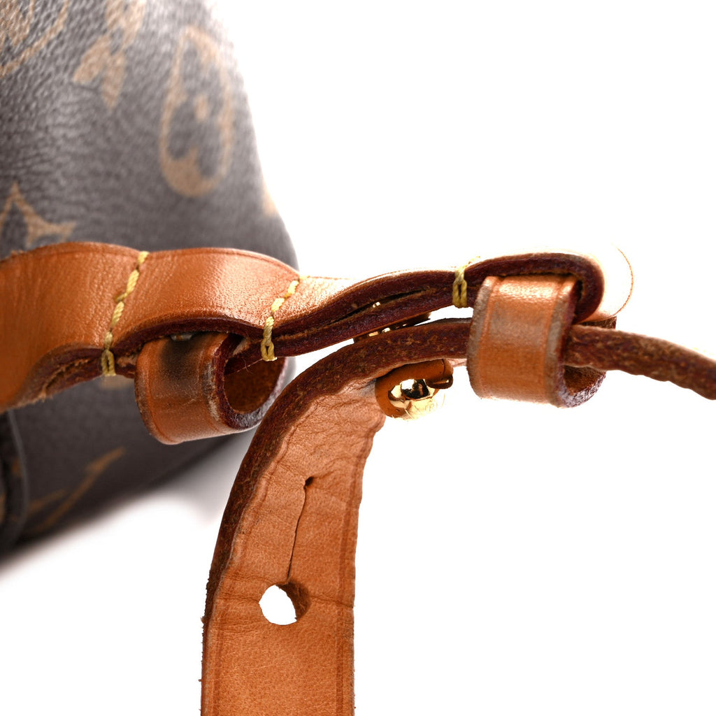 Monogram Montsouris NM Backpack