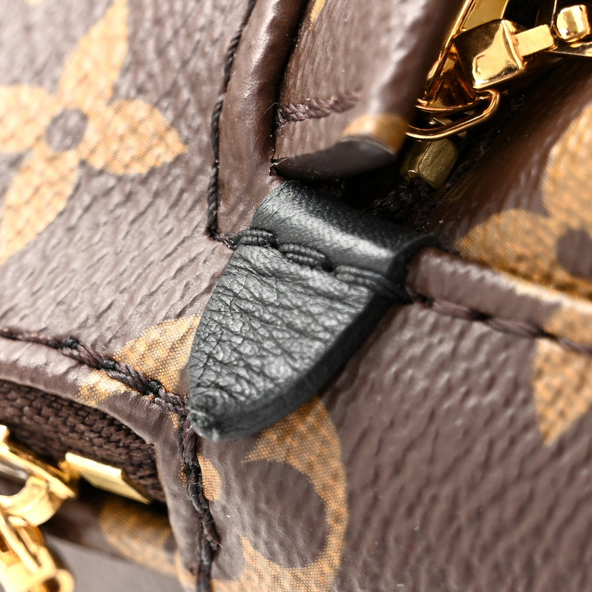 Monogram Palm Springs Backpack Mini