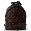 Monogram Palm Springs Backpack MM