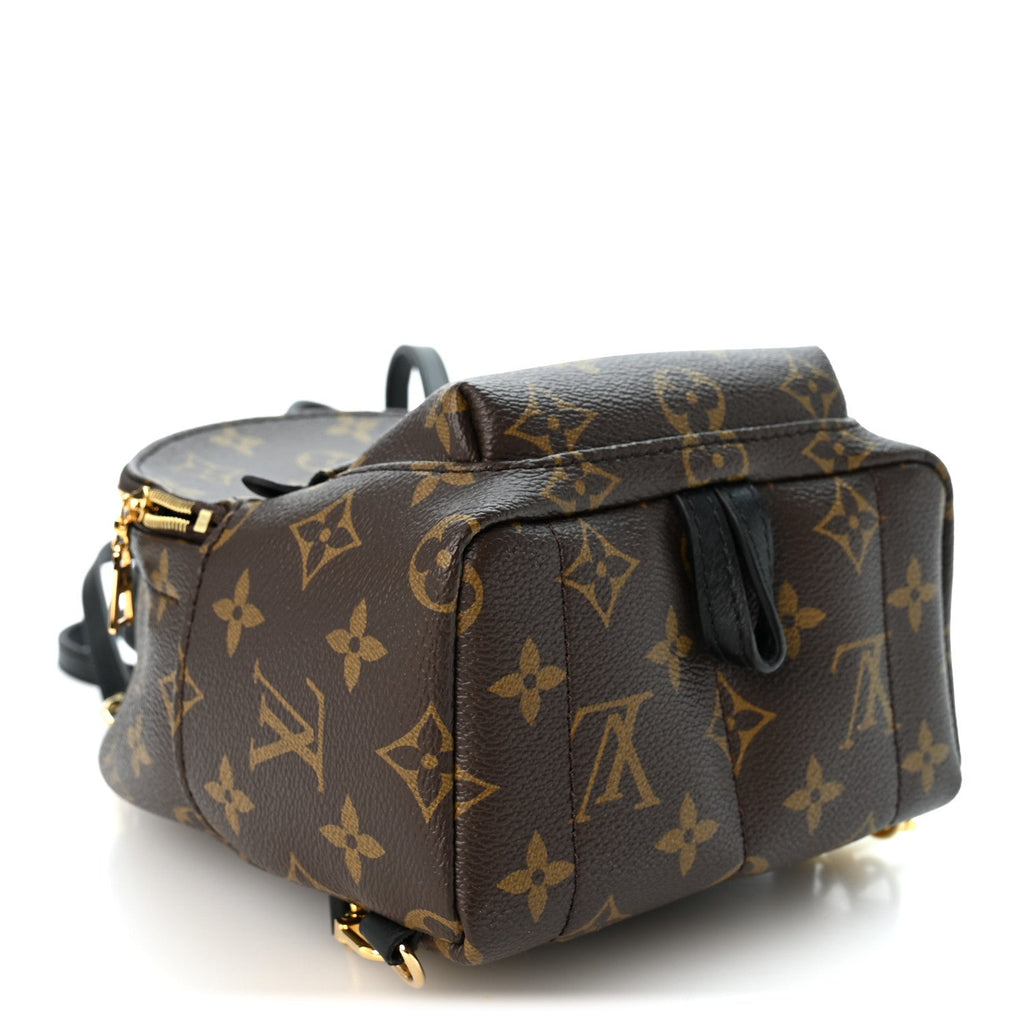 Monogram Palm Springs Backpack Mini