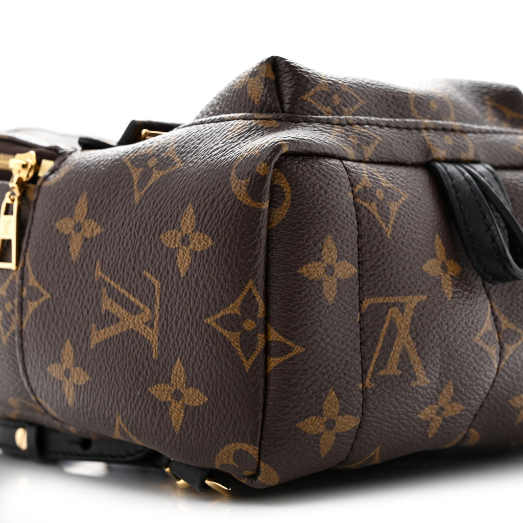 Monogram Palm Springs Backpack Mini