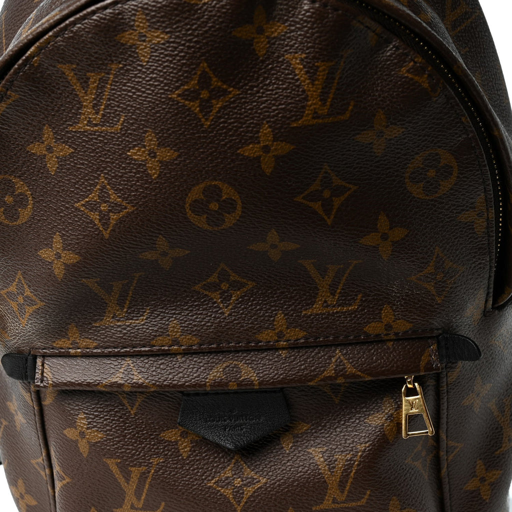 Monogram Palm Springs Backpack PM