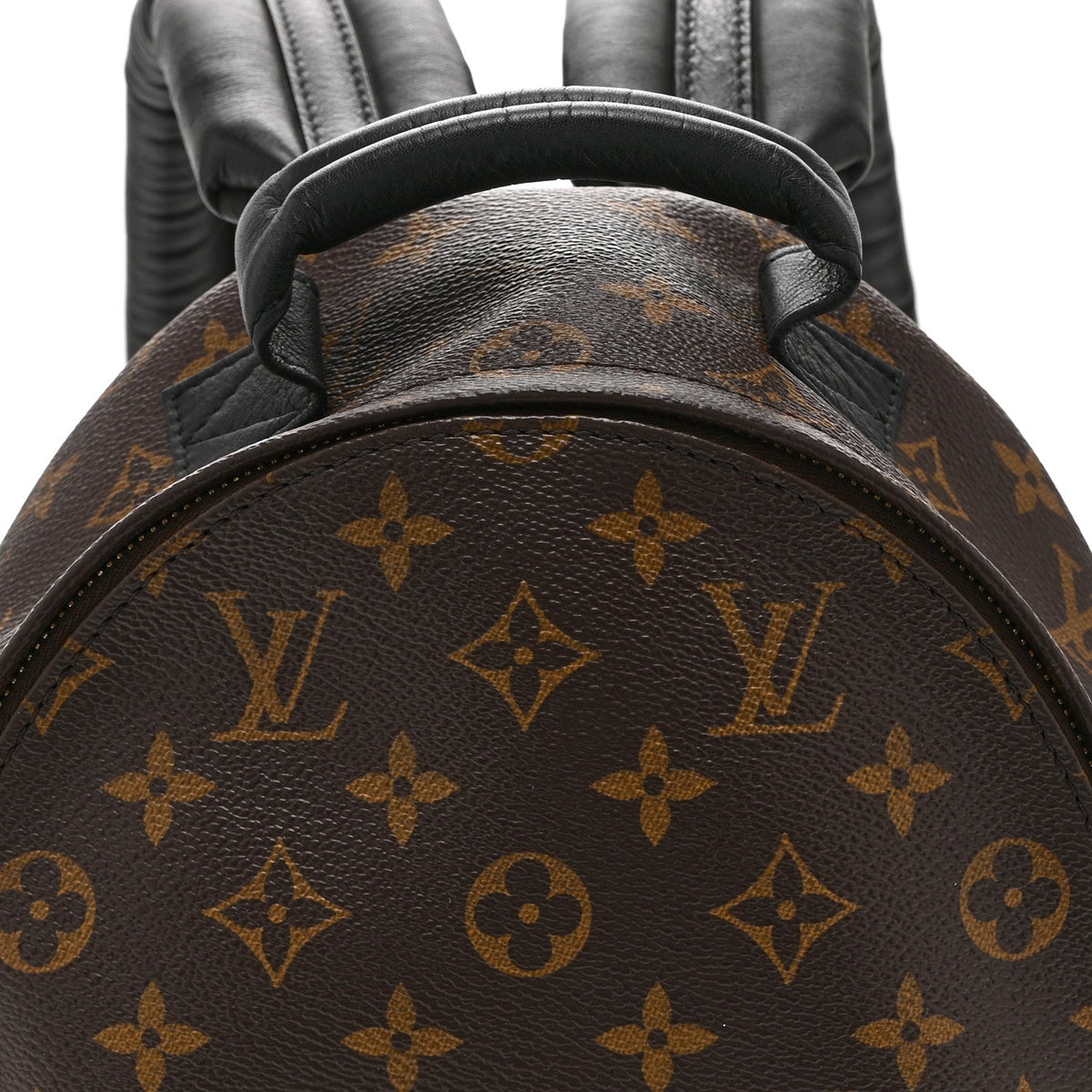 Monogram Palm Springs Backpack PM