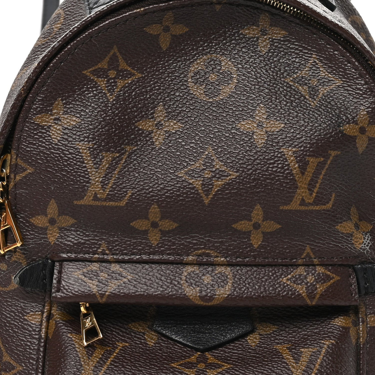 Monogram Palm Springs Backpack Mini