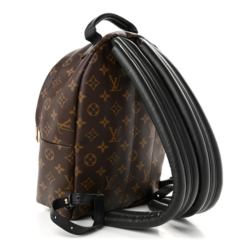 Monogram Palm Springs Backpack PM