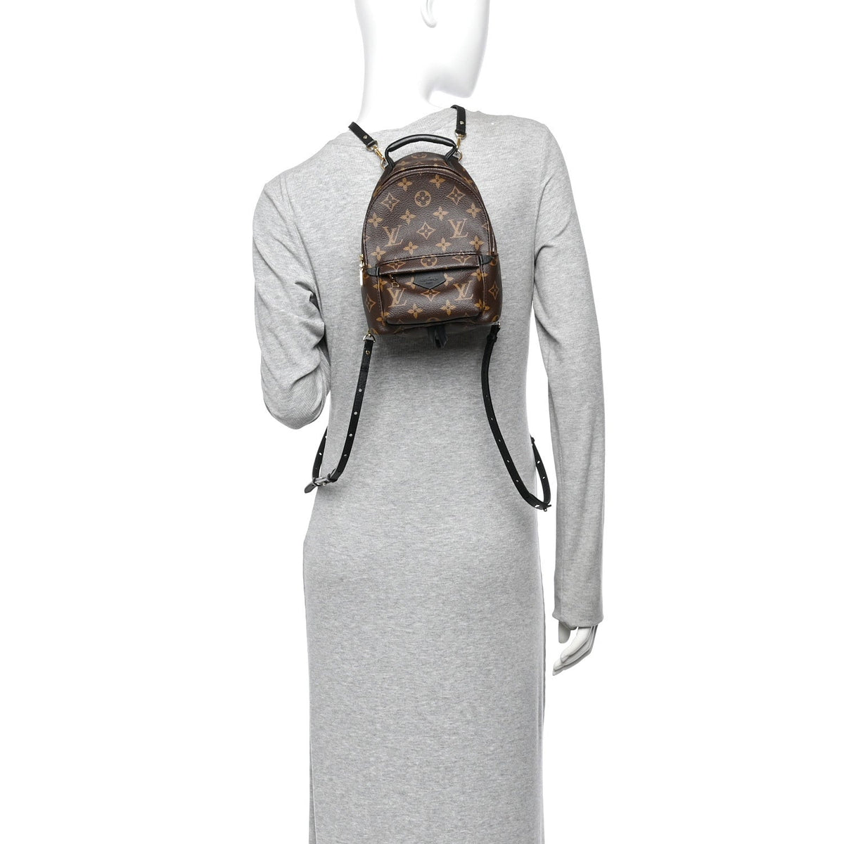 Monogram Palm Springs Backpack Mini