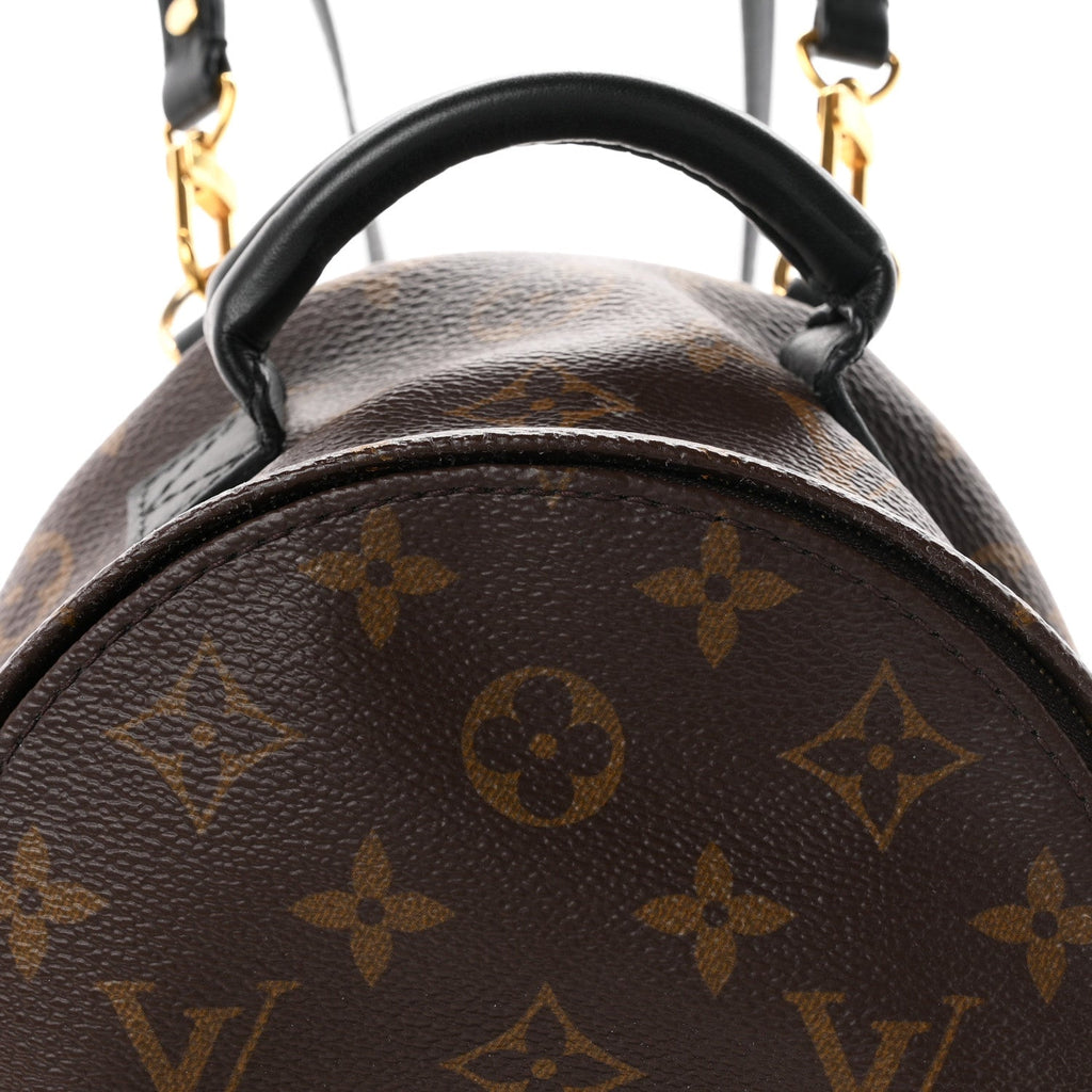 Monogram Palm Springs Backpack Mini