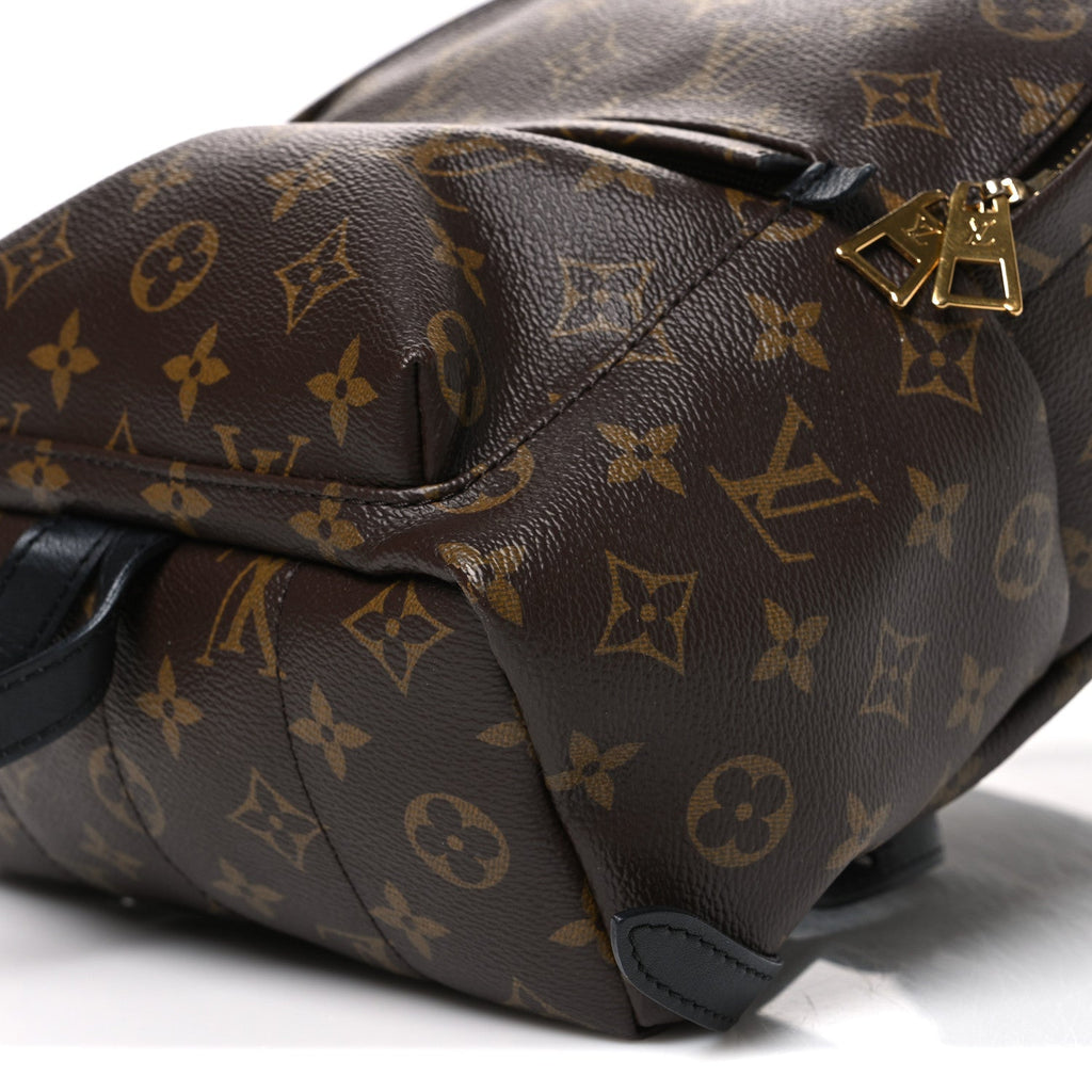 Monogram Palm Springs Backpack PM