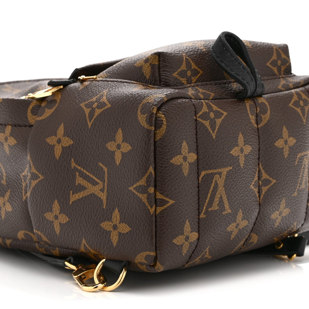 Monogram Palm Springs Backpack Mini
