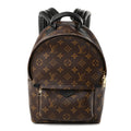 Monogram Palm Springs Backpack PM