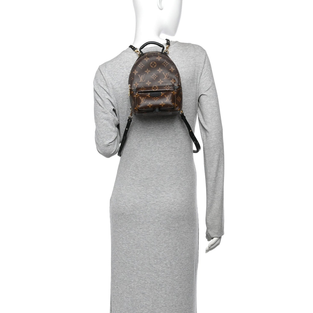Monogram Palm Springs Backpack Mini