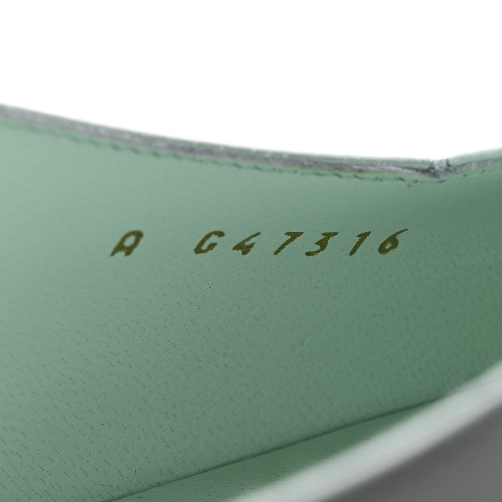 Goatskin Mixed Fibers Cap Toe Slingback Pumps 40 Light Green Black