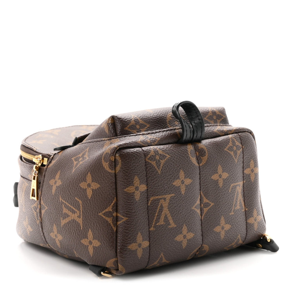 Monogram Palm Springs Backpack Mini