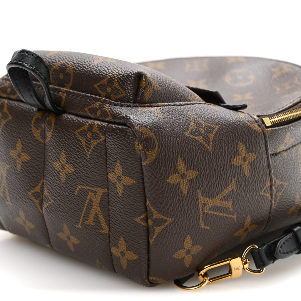 Monogram Palm Springs Backpack Mini