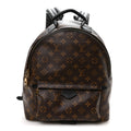 Monogram Palm Springs Backpack MM