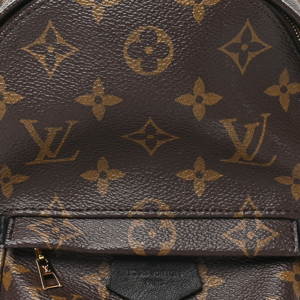 Monogram Palm Springs Backpack Mini