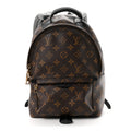 Monogram Palm Springs Backpack PM