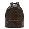 Monogram Palm Springs Backpack MM