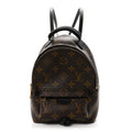 Monogram Palm Springs Backpack Mini