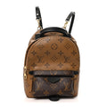 Reverse Monogram Palm Springs Backpack Mini