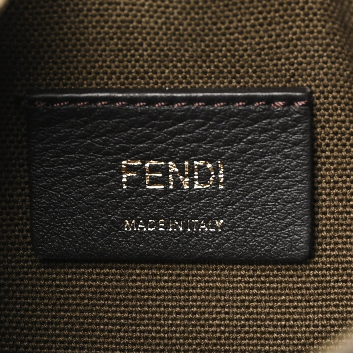 Canvas Vitello King F is Fendi FF Embroidered Mini Mon Tresor Bucket Bag Amazzonia Cuoio