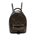 Monogram Palm Springs Backpack Mini