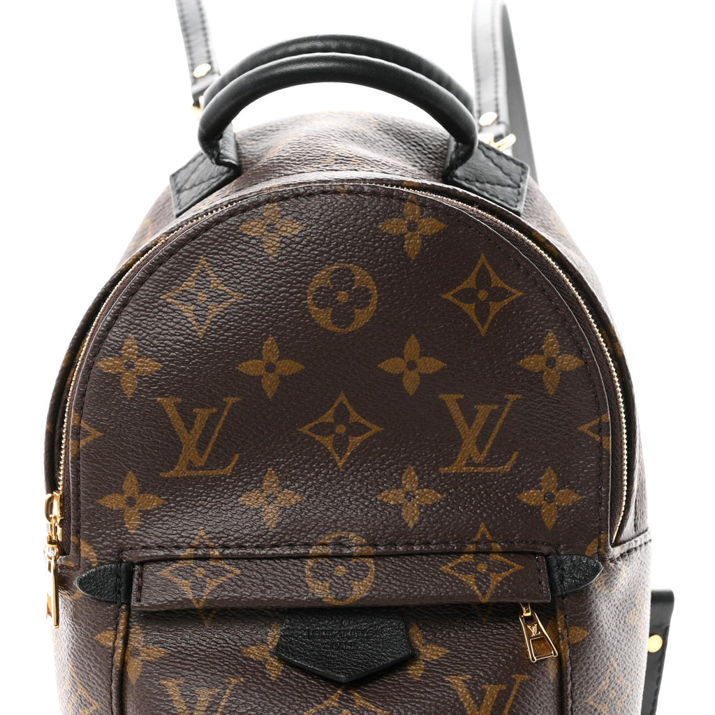 Monogram Palm Springs Backpack Mini