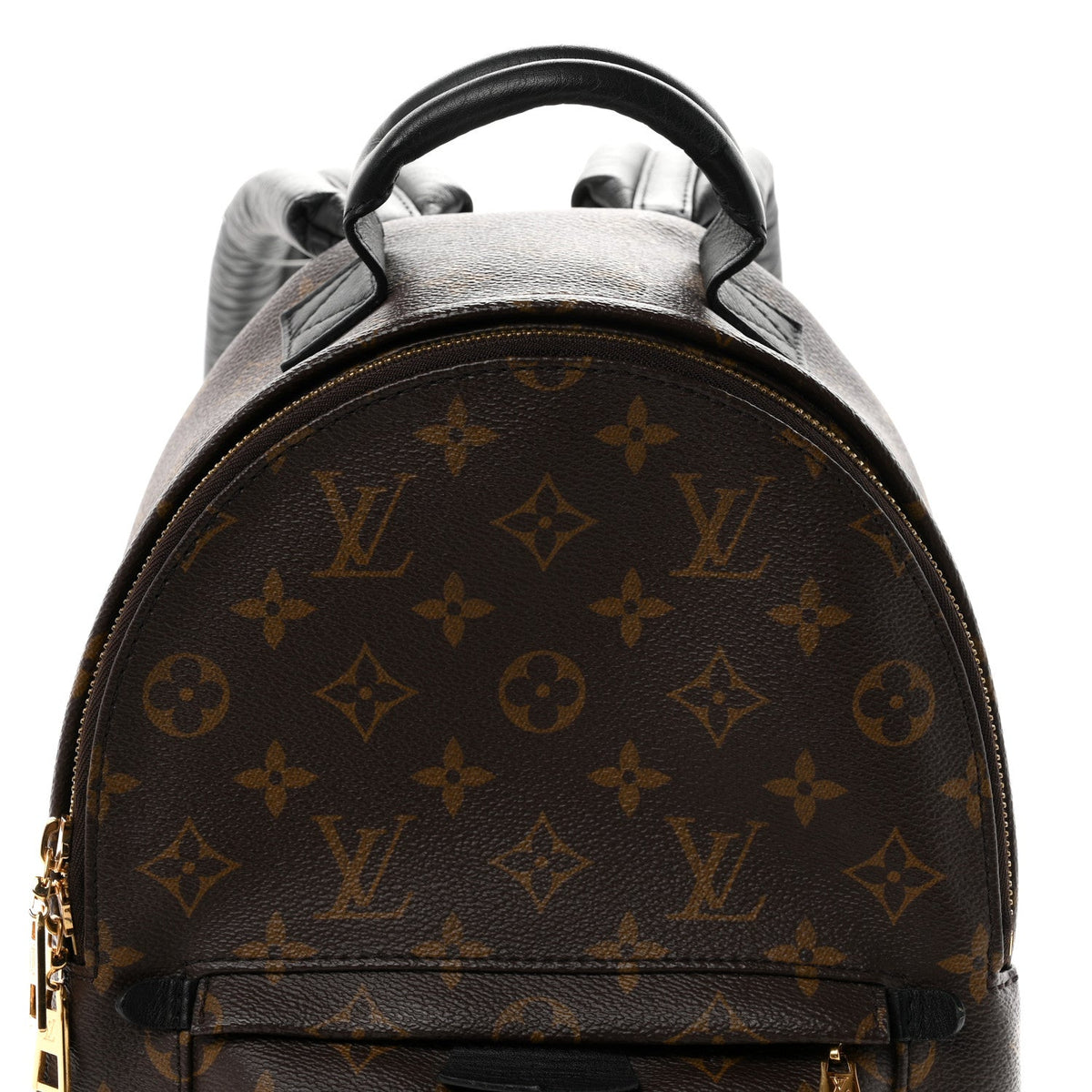 Monogram Palm Springs Backpack PM