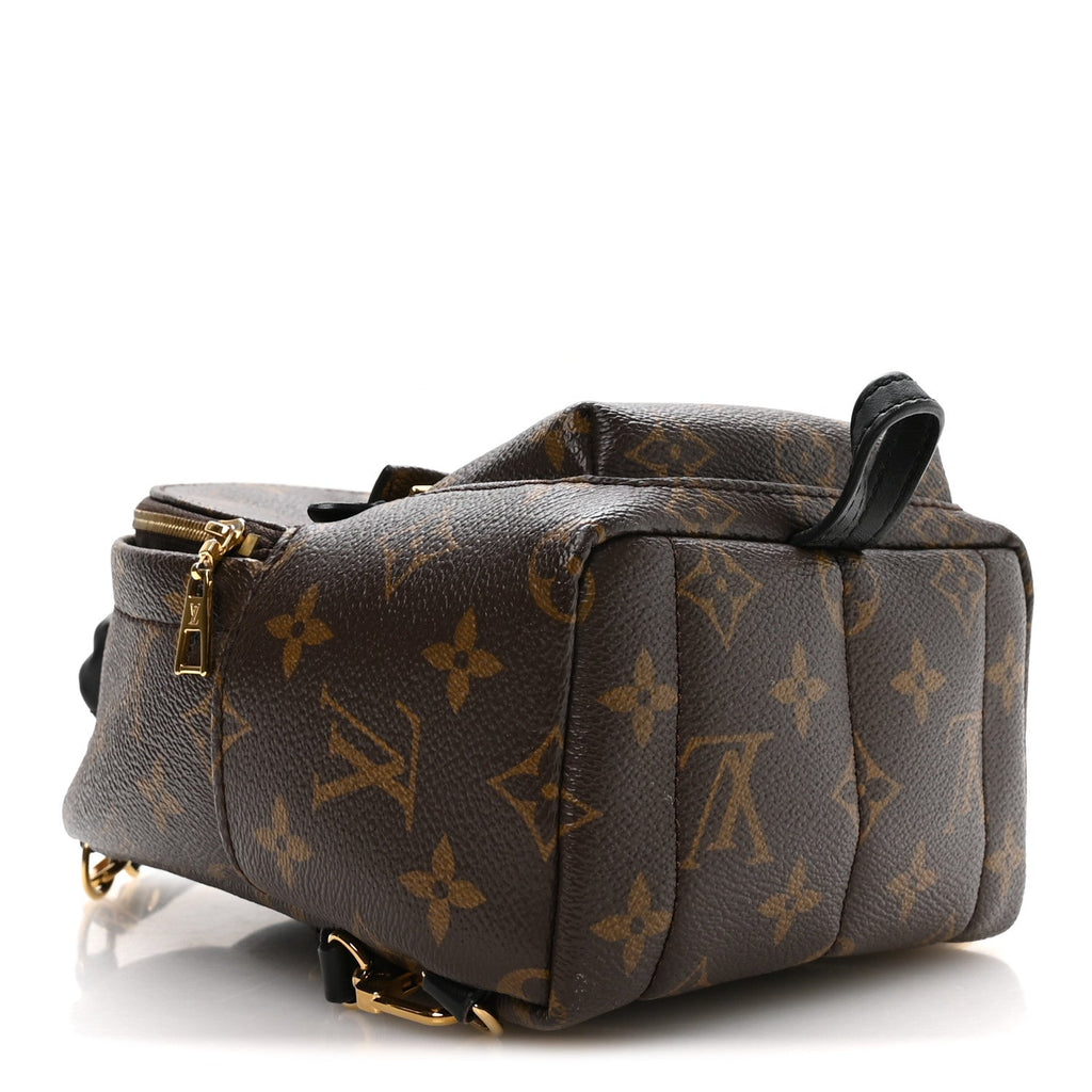 Monogram Palm Springs Backpack Mini