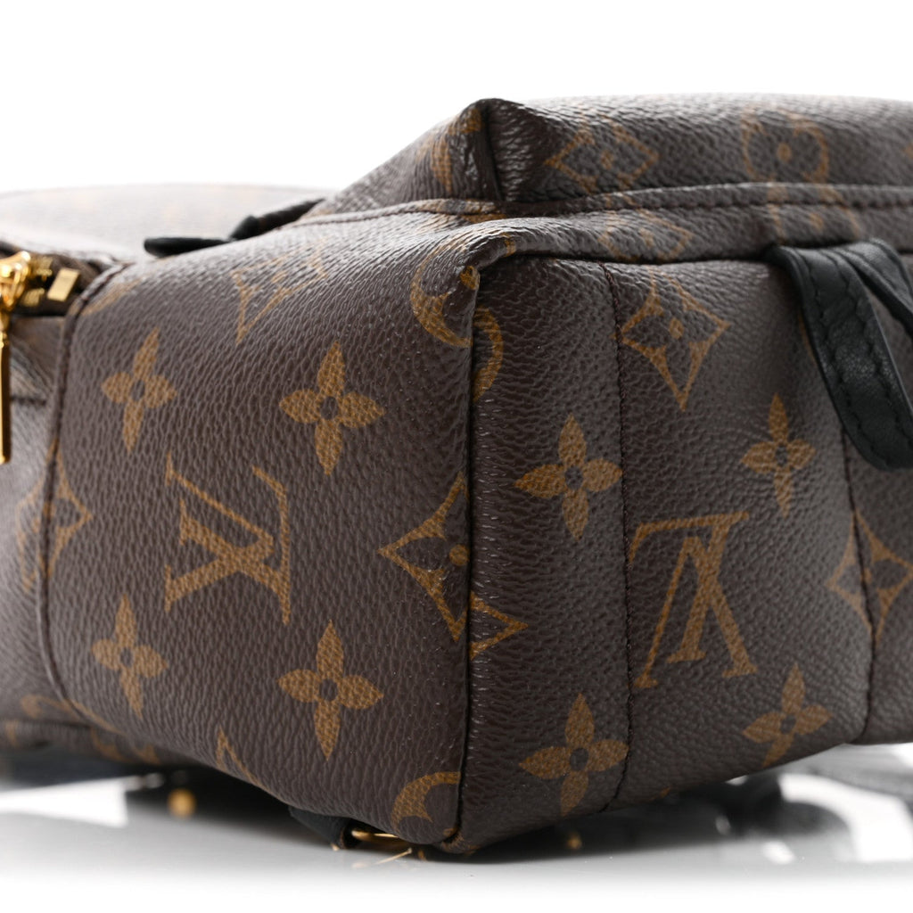 Monogram Palm Springs Backpack Mini