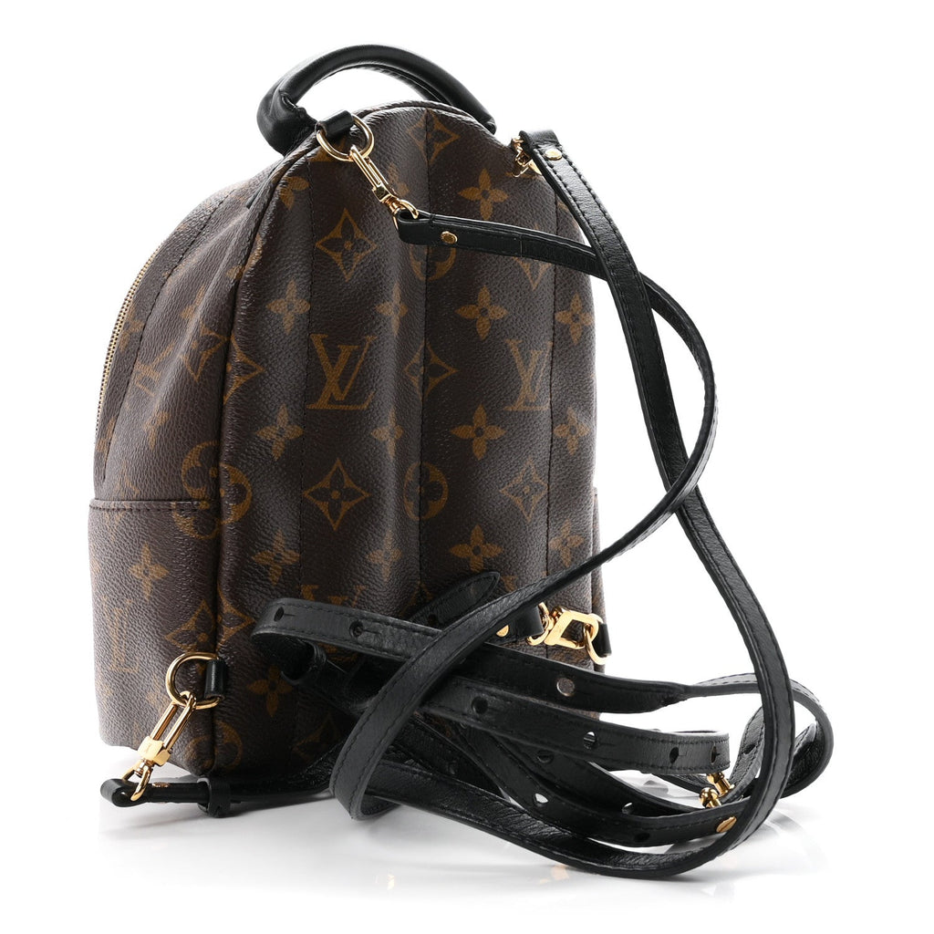 Monogram Palm Springs Backpack Mini
