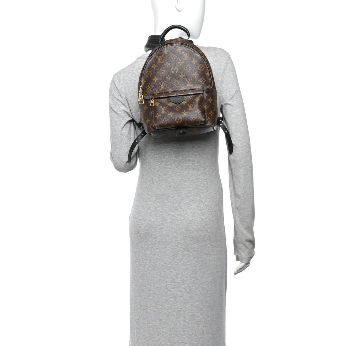 Monogram Palm Springs Backpack PM