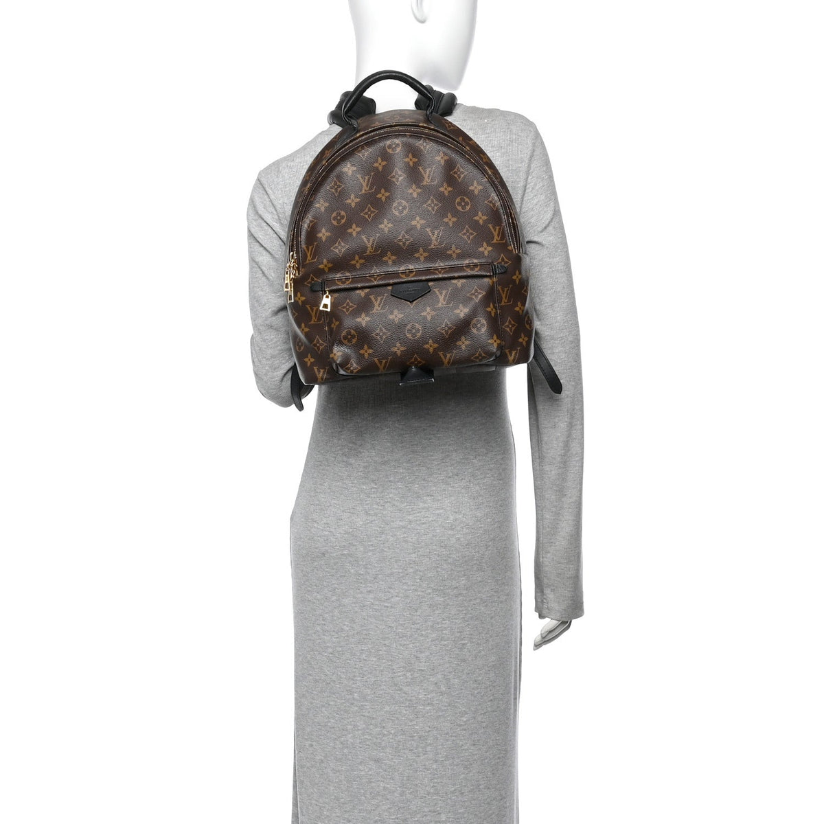 Monogram Palm Springs Backpack MM