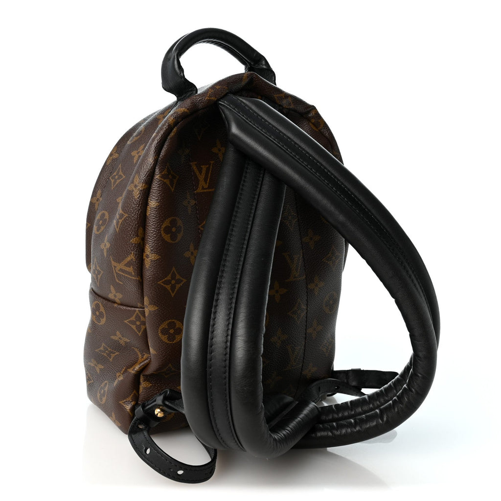 Monogram Palm Springs Backpack PM