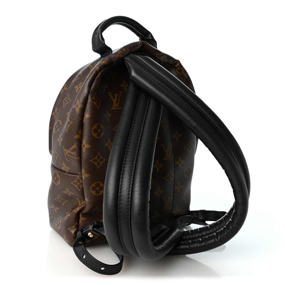 Monogram Palm Springs Backpack PM